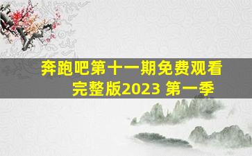 奔跑吧第十一期免费观看完整版2023 第一季